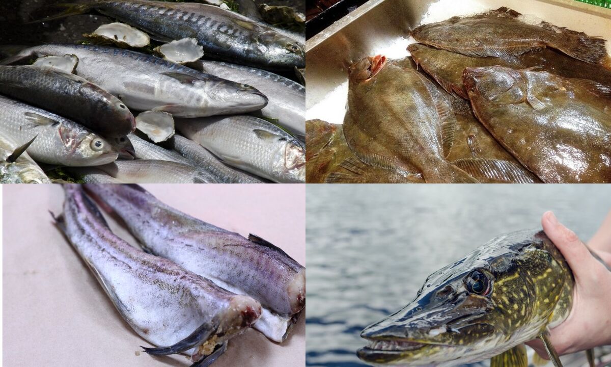 poisson