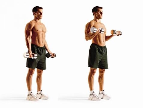 boucles de biceps pour perdre du poids